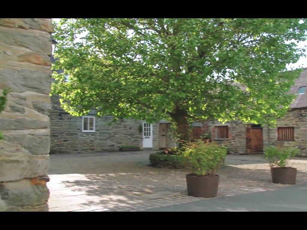 Bryn Melyn Farm Cottages บาลา ภายนอก รูปภาพ